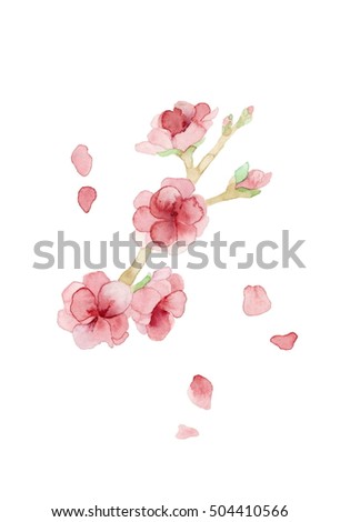 Peach flower,without petals