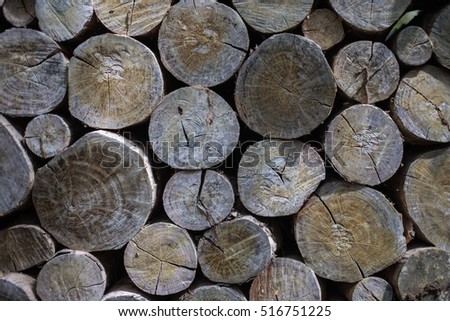 Wood Stock Photo 516751225 - Shutterstock