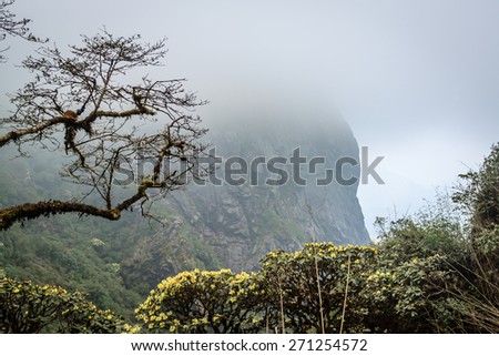 Mountain at Vietnam