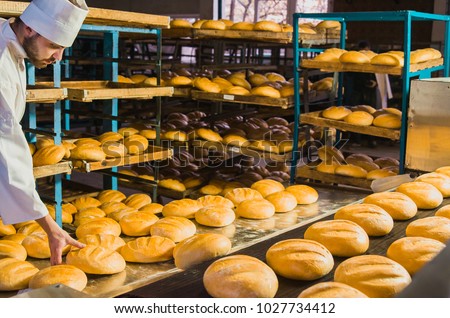 Baker. A young handsome baker working on a bread background holding bread in his hands. Industrial production of bakery products. a man in a special baker's clothes. Bakery.