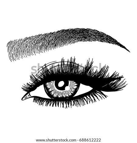 Vector Eyebrows Stock Images, Royalty-Free Images & Vectors | Shutterstock