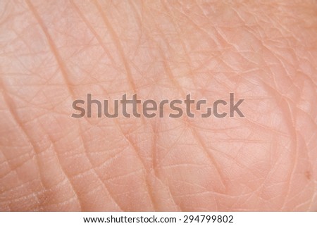 picture of up human skin macro epidermis texture csp17528076 search stock photography skin cells stock images royalty free images vectors picture of up human skin macro epidermis texture csp17528076 search stock photography skin cells stock images royalty free images vectors