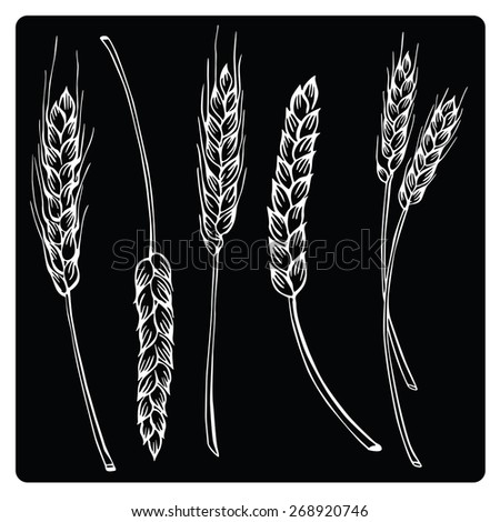Hand Drawn Vector Illustration Wheat Tribal Stock Vector 515530270 ...