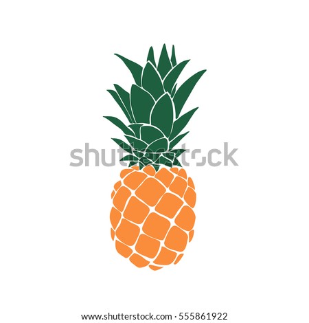 Pineapple illustration