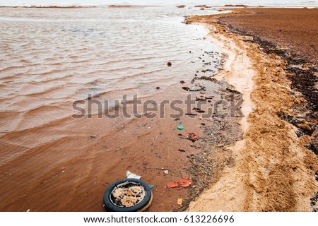 environmental pollution