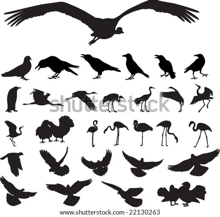 Heron Silhouette Stock Photos, Images, & Pictures | Shutterstock