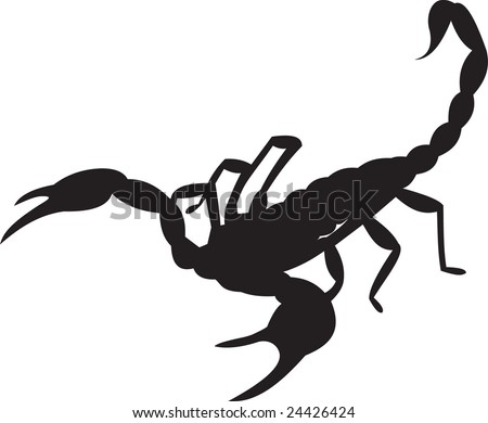 Scorpion Tail Stock Images, Royalty-free Images & Vectors 