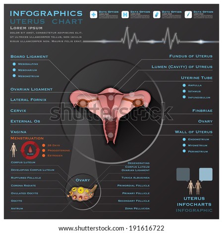 Endometriosis Appearance Disease Endometriosis Endometrium Colon Stock