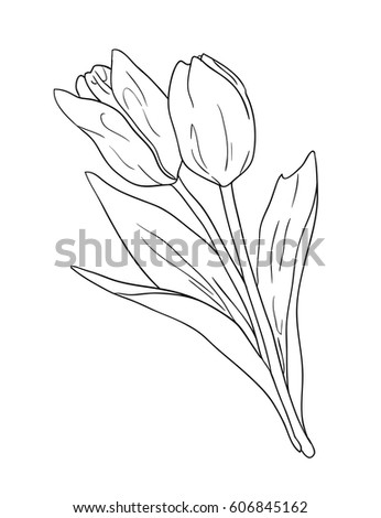 Hand Drawn Coloring Page Vector Illustration Stock Vector 606845162 ...