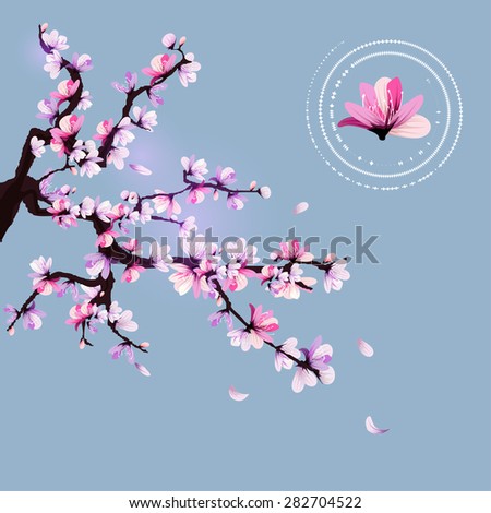 Cherry blossom.