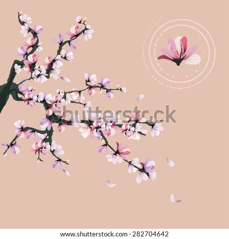 Cherry blossom.