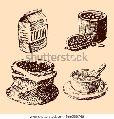 Vector Cocoa Hand Drawn Sketch Illustration Stock Vector 566355745