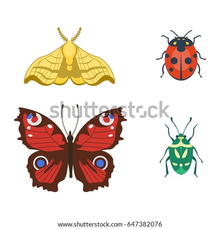 Dragonfly Brown Bug Forest Ant Small Stock Vector 620843933 - Shutterstock