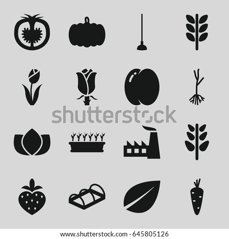 Plant icons set. set of 16 plant filled icons such as pumpkin, carrot, peach, lotus, leaf, factory, hoe, rose, sprout, greenohuse, tomato, strawberry, flower