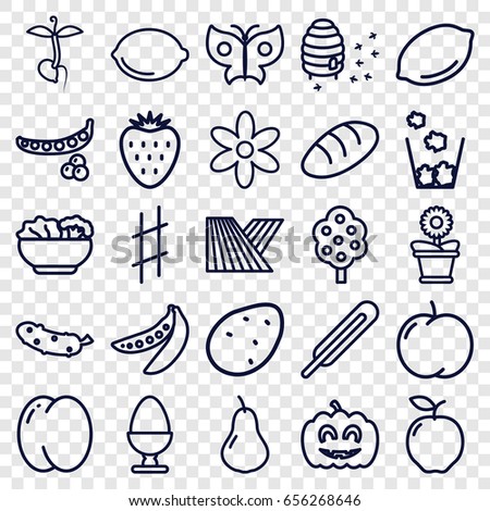Natural icons set. set of 25 natural outline icons such as field, potato, apple, pear, peach, peas, tree, lemon, bread, flower, cucumber, flower pot, honeycomb, sprout