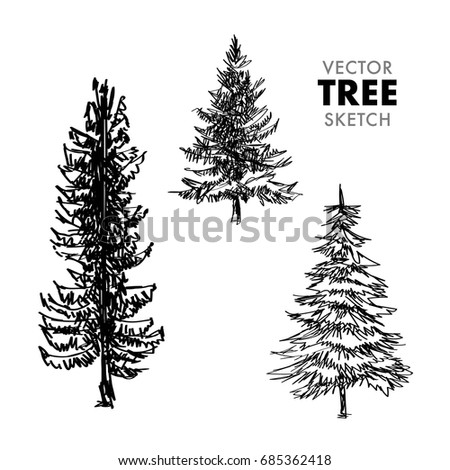 vector tree sketch hand drawn pine 스톡 벡터 685362418 shutterstock