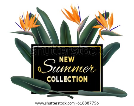 New Summer Collection sale vector poster. Golden text on black fame and strelitzia reginae exotic jungle leaves and flowers illustration. Stylish banner with exotic tropical plant - bird of paradise.