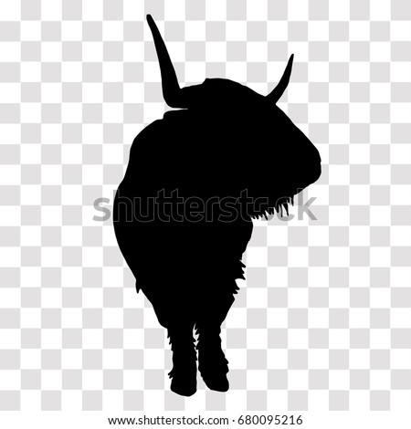 Download Black Highland Cow Stock Images, Royalty-Free Images ...