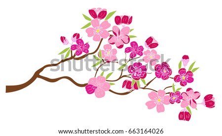 Peach blossom plant and Sakura flower vector
