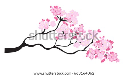 Peach blossom plant and Sakura flower vector