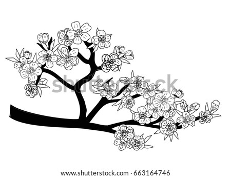 Doodle art Peach blossom plant and Sakura flower vector
