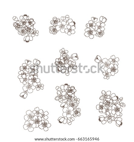 Peach blossom flower set and cherry blossom