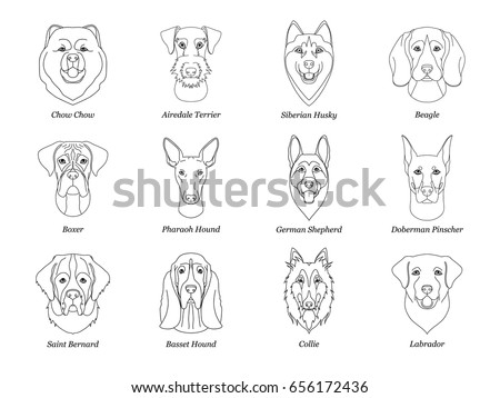 Pharaoh Stock Images, Royalty-Free Images & Vectors | Shutterstock