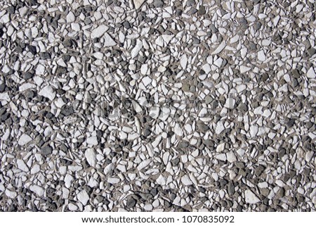Rough Unpolished Grey Terrazzo Surface Texture Detail Close Up Rough Unpolished Grey Terrazzo Surface Texture Detail Close Up