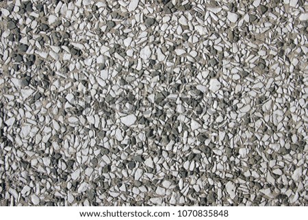 Unpolished Grey Terrazzo Surface Texture Detail Close Up Unpolished Grey Terrazzo Surface Texture Detail Close Up