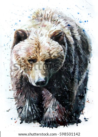 Bear