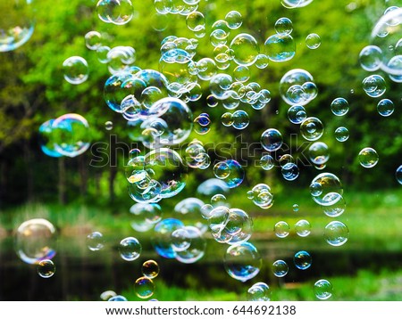 Flying Soap Bubbles On Green Background Beautiful Soap Bubbles Flying On Green Stock Photo