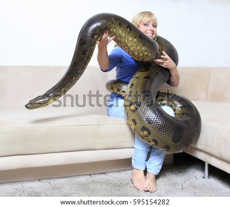 anaconda