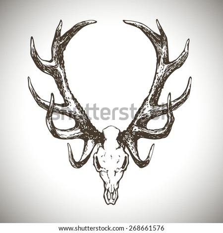 deer skull horns isolated hand drawn stock vector 563439442 deer skull horns isolated hand drawn stock vector 563439442