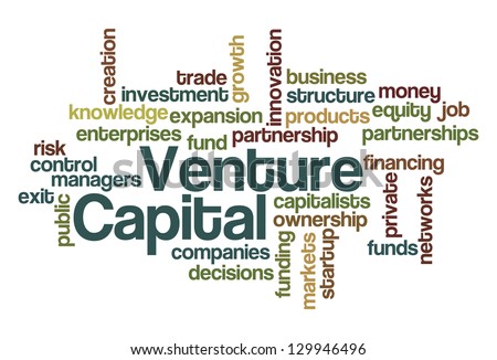 Venture capital investment structure stock options