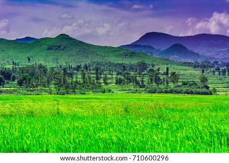 Araku valley pictures andhra pradesh traditional dress Araku valley pictures andhra pradesh traditional dress