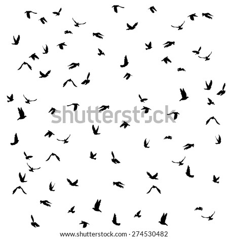 Dove sketch Stock Photos, Images, & Pictures | Shutterstock