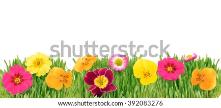 Spring Stock Photos, Royalty-Free Images & Vectors - Shutterstock