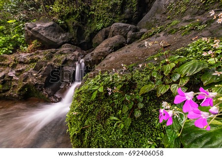 Waterfall Tamhini Ghat Western Ghats Stock Photo (Royalty Free ...