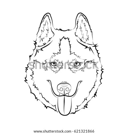 Part Face Line Art Illustration Eyes Stock Illustration 369072065