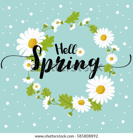 Hello spring daisy flower