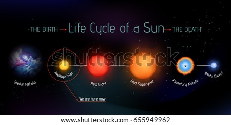 the life cycle of the sun Start studying the life cycle of stars learn vocabulary, terms, and more with flashcards, games, and other study tools where is our sun in its life cycle. the life cycle of the sun Start studying the life cycle of stars learn vocabulary, terms, and more with flashcards, games, and other study tools where is our sun in its life cycle.