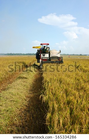 DONG THAP, VIET NAM- SEPTEMBER 12: Farmer harvest rice on ripe paddy field by combine harvester in Dong Thap, Viet Nam on September 12, 2013
