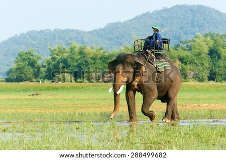 BUON ME THUOT- VIET NAM- JUNE 11: Asia travel in summer vacation at beautiful Vietnamese countryside, traveler travelling by ride elephant in eco tour, green landscape of rural, Vietnam, June 11, 2015