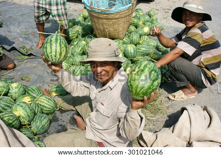 DONG THAP, VIET NAM- JULY 27: Group of Asian farmer working on agriculture field, Vietnamese man harvesting watermelon on water melon plantation to sale for trader, Dongthap, Vietnam, July 27, 2015