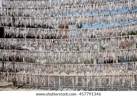Seafood at Ca Mau fishing village, Mekong Delta, Vietnam. Dried fish is popular Vietnamese food, can store for long time