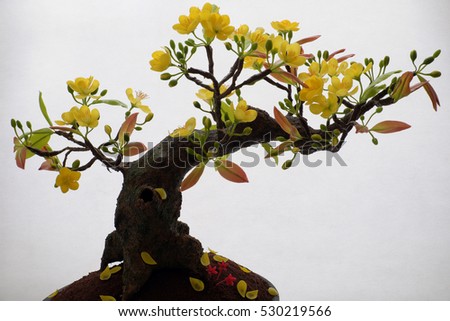Vietnam spring flower for home decoration in springtime, handmade apricot blossom make from clay, amazing artwork with shade on white background, this kind of bonsai is tradition ornament on tet