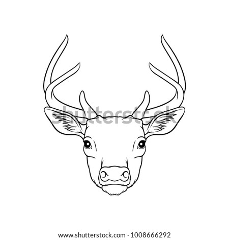 sketch deers head portrait forest animal stock vector 1008666292 drawings of deers