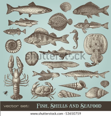 Fastest Ways To Lose Belly Fat Royalty Free Vintage Illustrations