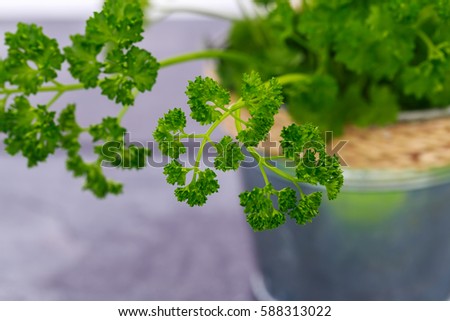 Easy bush cooking recipes Easy bush cooking recipes