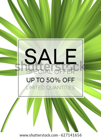 Sale banner or poster with palm leaves and jungle leaf. Floral tropical summer background. Vector illustration EPS10